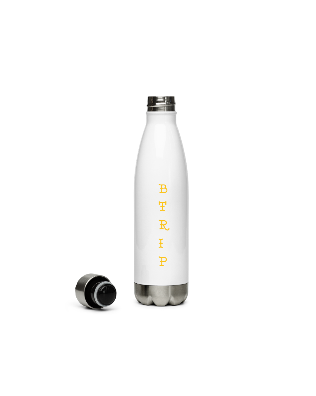BTRIP Insulated Stainless Steel Water Bottle — 17 oz