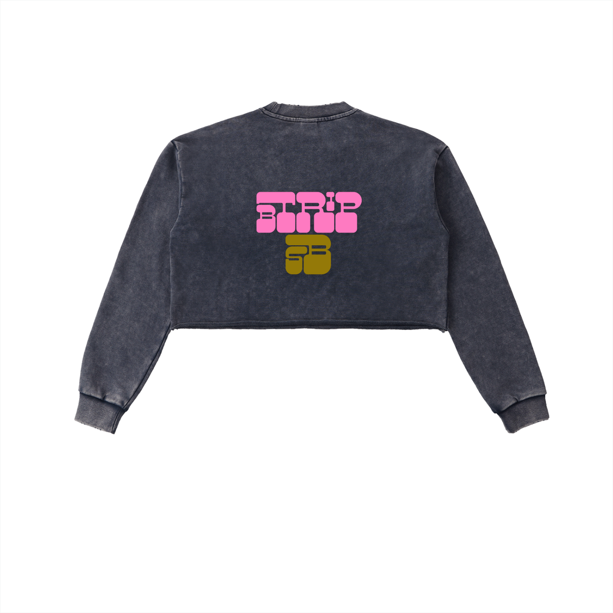 BTRIP PNK | The Snow Washed Raw Edge Cropped Sweatshirt