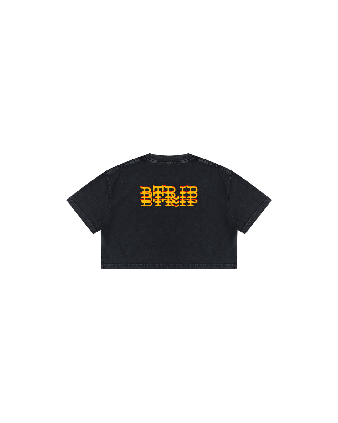BEACH MELV Mineral Wash Crop Tee