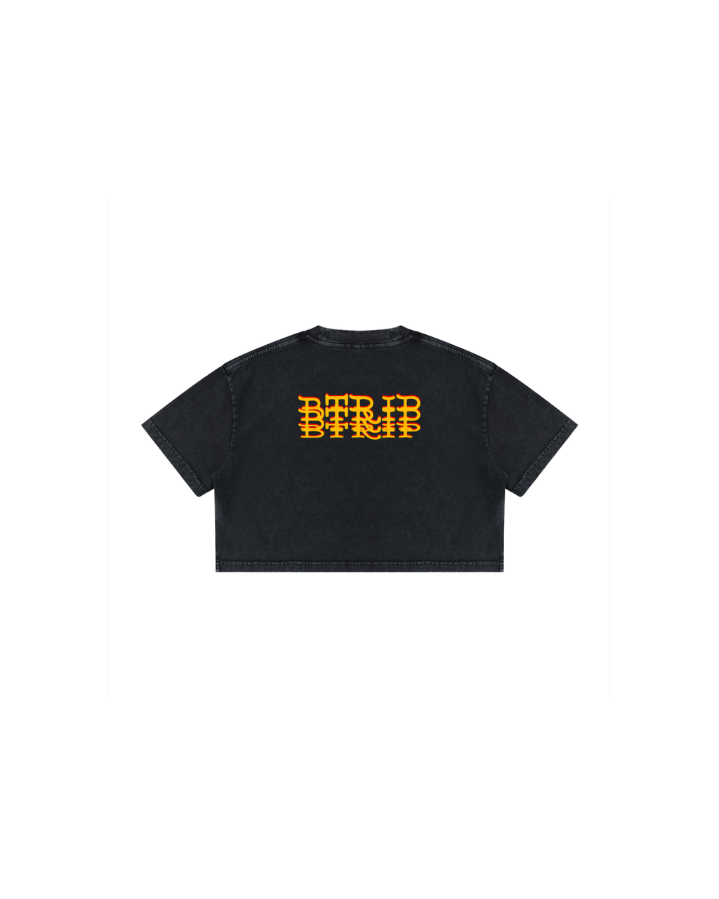 BEACH MELV Mineral Wash Crop Tee