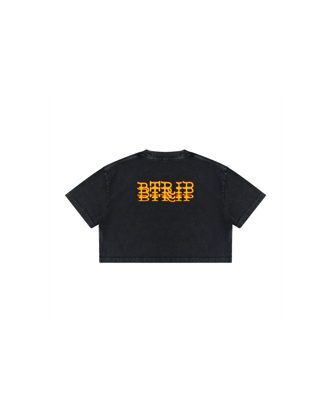 BEACH MELV Mineral Wash Crop Tee