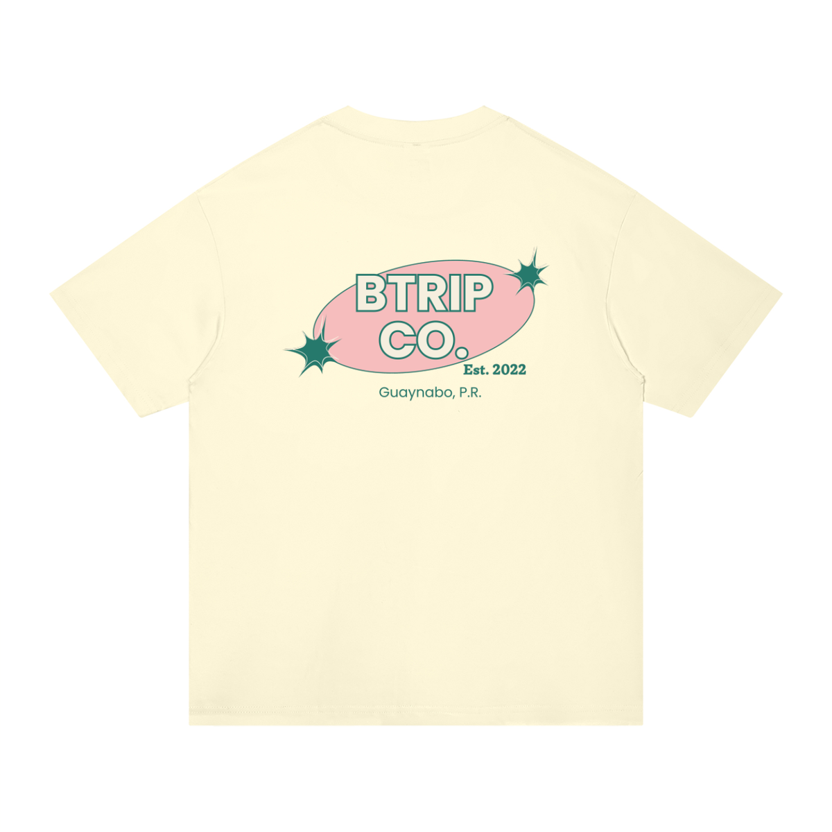Unisex Regular Fit Cotton T-Shirt