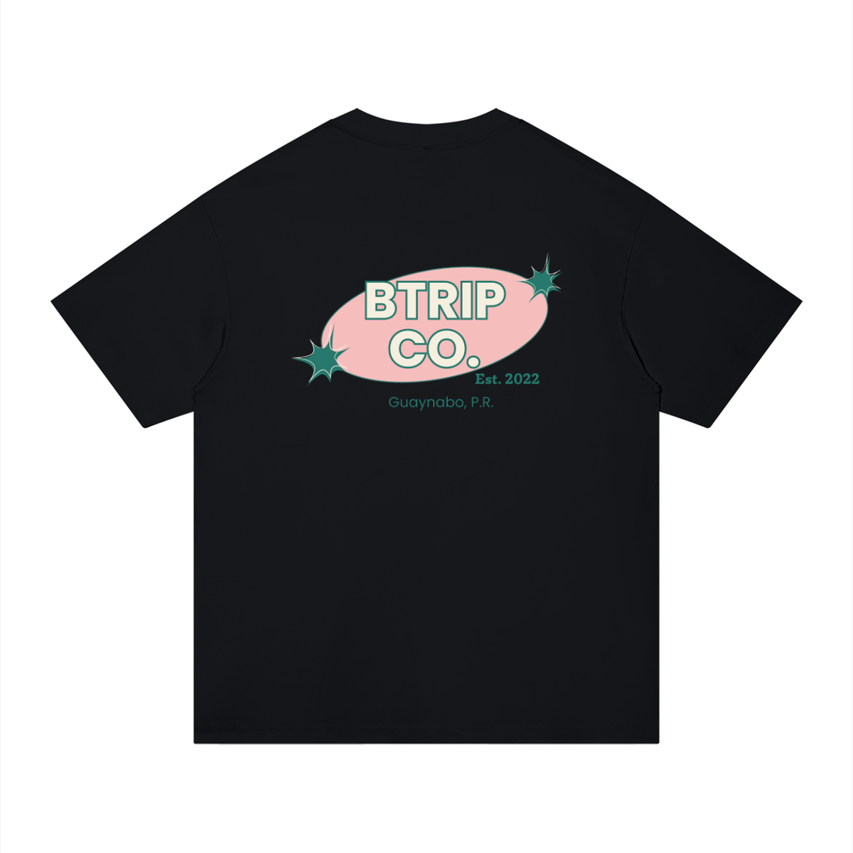 Unisex Regular Fit Cotton T-Shirt
